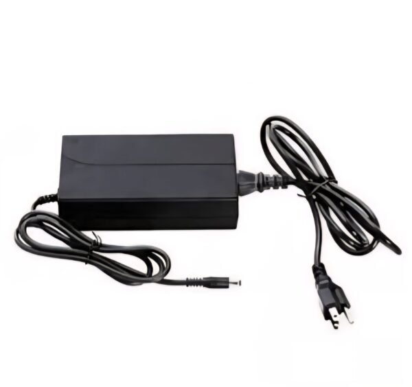 Lectric Ebike Charger